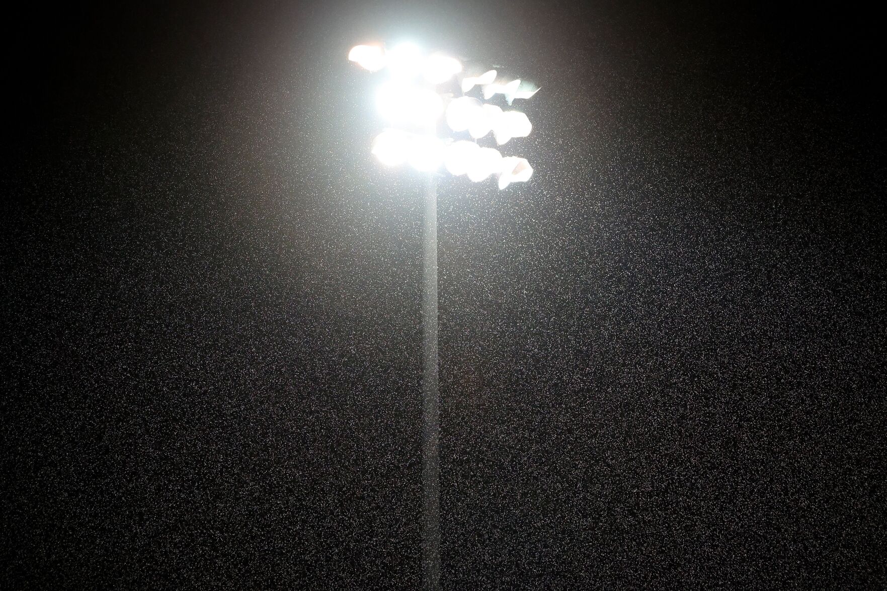Lafayette at Eureka football
